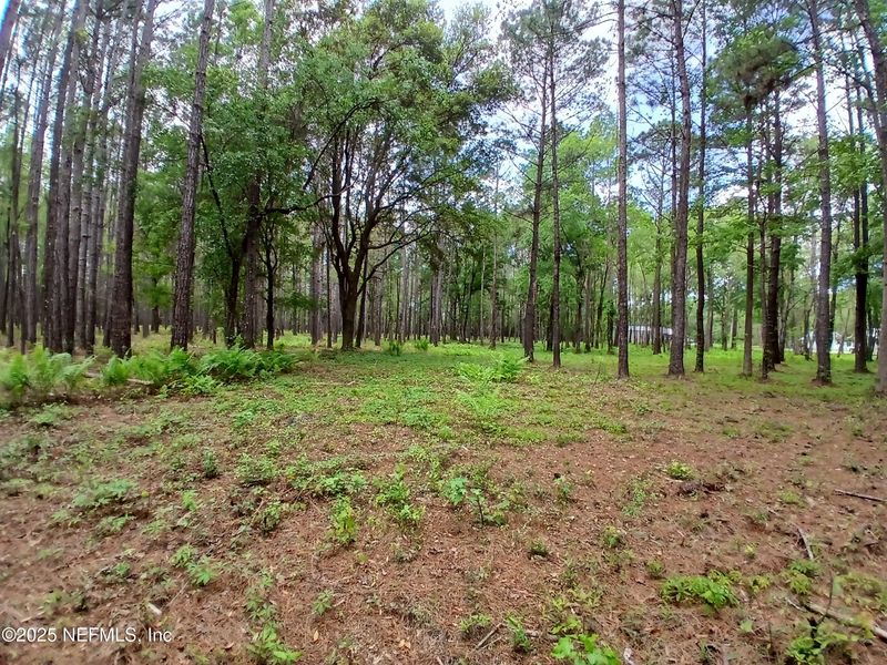 0 Kilpatrick Rd, Callahan, FL 32011