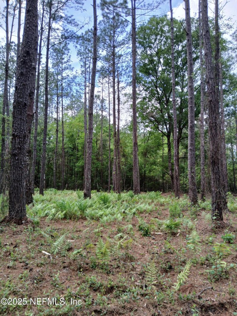 0 Kilpatrick Rd, Callahan, FL 32011