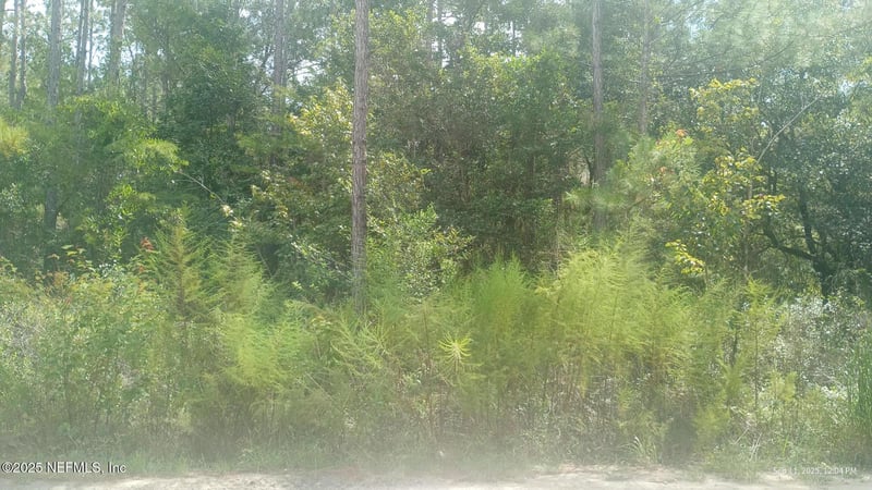 0 Kirchherr Ave, Hastings, FL 32145