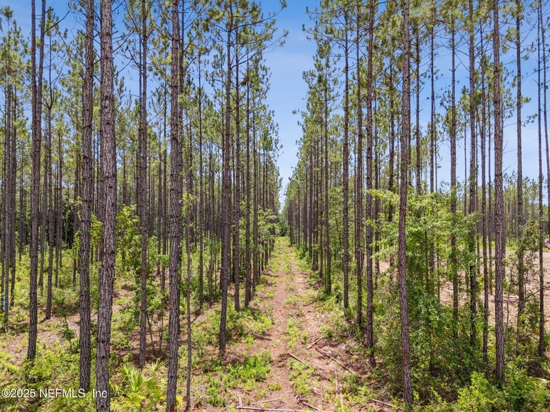 0 Lake Hampton Rd, Hilliard, FL 32046