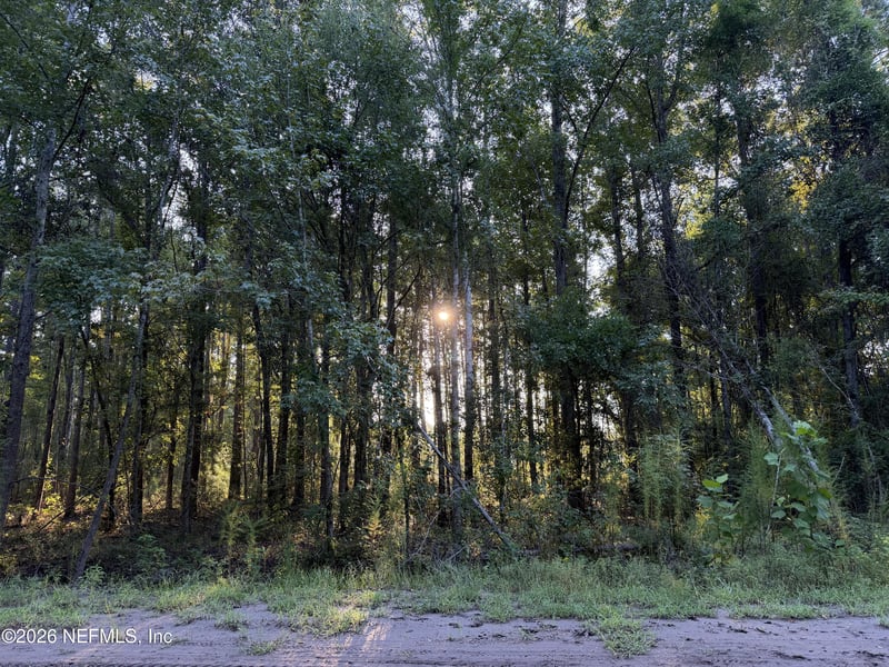 0 Little Magnolia Ln, Callahan, FL 32011