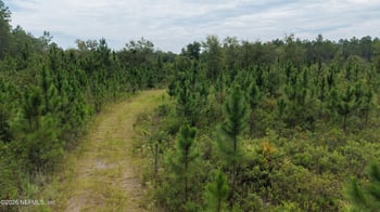 0 Mcclelland Rd, Jacksonville, FL 32234