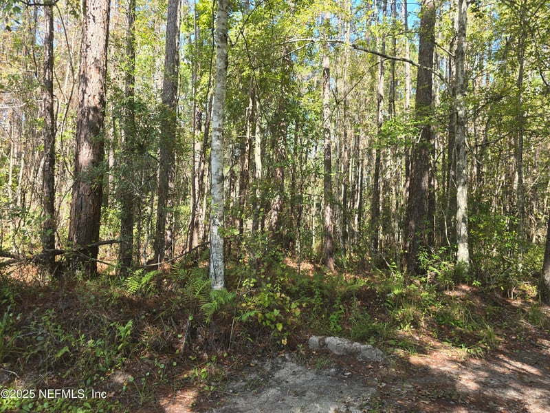 0 Mclaurin Rd E, Jacksonville, FL 32256