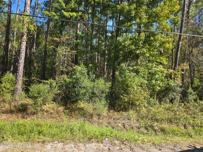 0 Mclaurin Rd E, Jacksonville, FL 32256