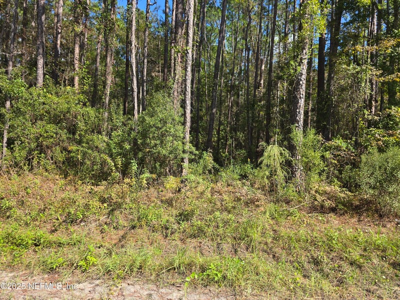0 Mclaurin Rd E, Jacksonville, FL 32256