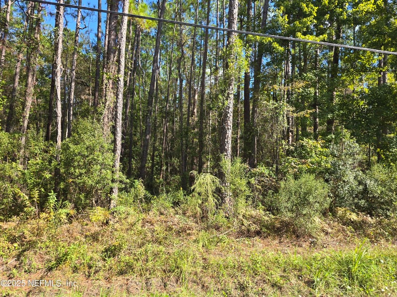 0 Mclaurin Rd E, Jacksonville, FL 32256