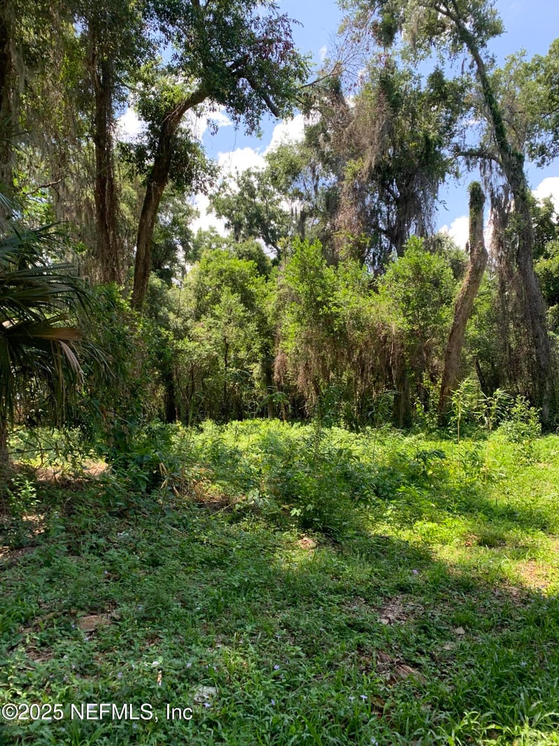 0 Milwaukee Ave, Orange Park, FL 32073