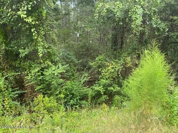 0 NE 173rd St, Starke, FL 32091