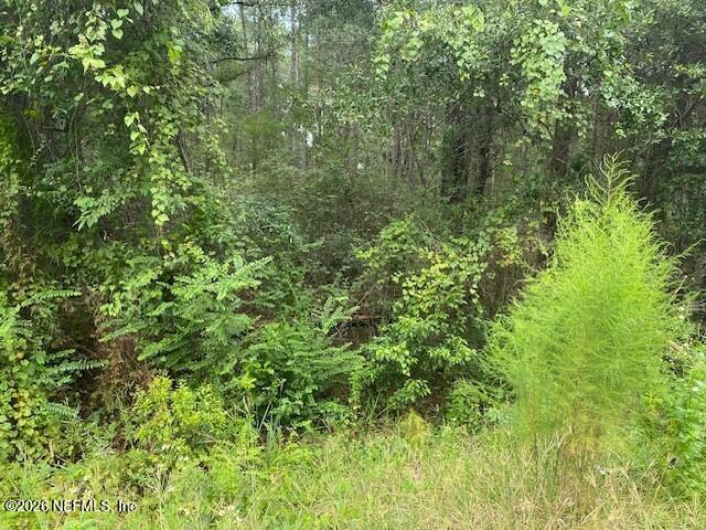 0 NE 173rd St, Starke, FL 32091