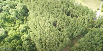 0 NW County Road 125, Lawtey, FL 32058