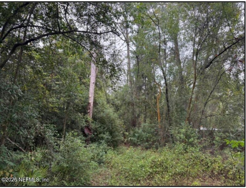 0 Permento Ave, Jacksonville, FL 32220