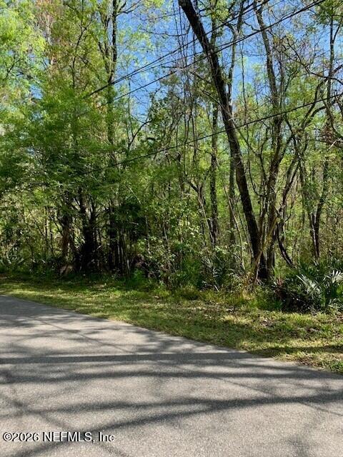 0 Plainfield Ave, Orange Park, FL 32073