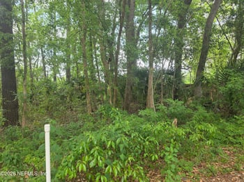 0 Pope Pl, Jacksonville, FL 32209