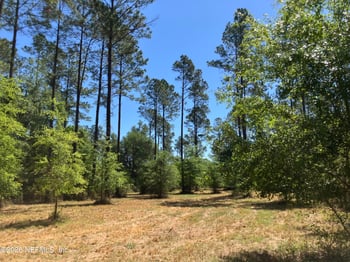 0 Prospect Landing Rd, Hilliard, FL 32046