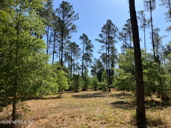 0 Prospect Landing Rd, Hilliard, FL 32046