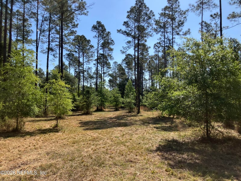 0 Prospect Landing Rd, Hilliard, FL 32046