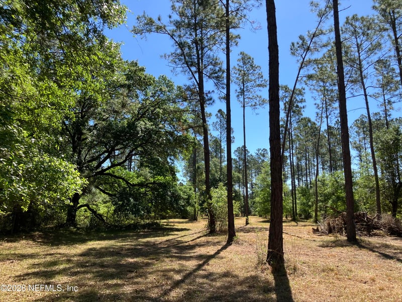 0 Prospect Landing Rd, Hilliard, FL 32046