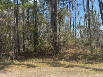 0 Quail Ridge Dr, Callahan, FL 32011