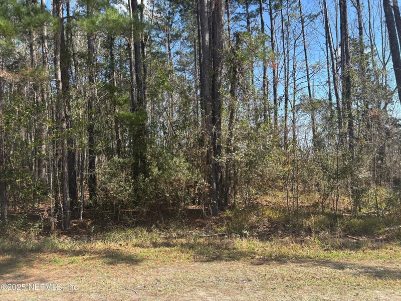 0 Quail Ridge Dr, Callahan, FL 32011