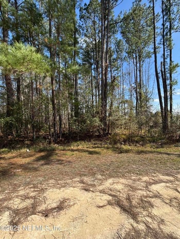 0 Quail Ridge Dr, Callahan, FL 32011