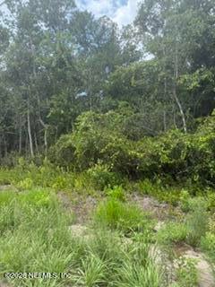 0 Range Line Rd, Middleburg, FL 32068