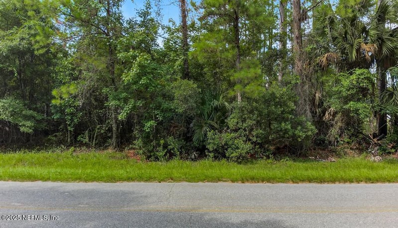 0 Roy Haddock Rd, Hilliard, FL 32046