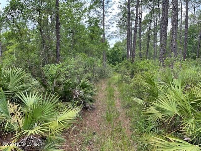0 Scully Hill Rd, Middleburg, FL 32068