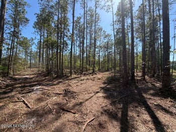0 SE 125th St, Starke, FL 32091