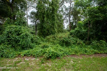 0 SE 28th Way, Melrose, FL 32666