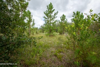 0 SE County Road 21b, Keystone Heights, FL 32656