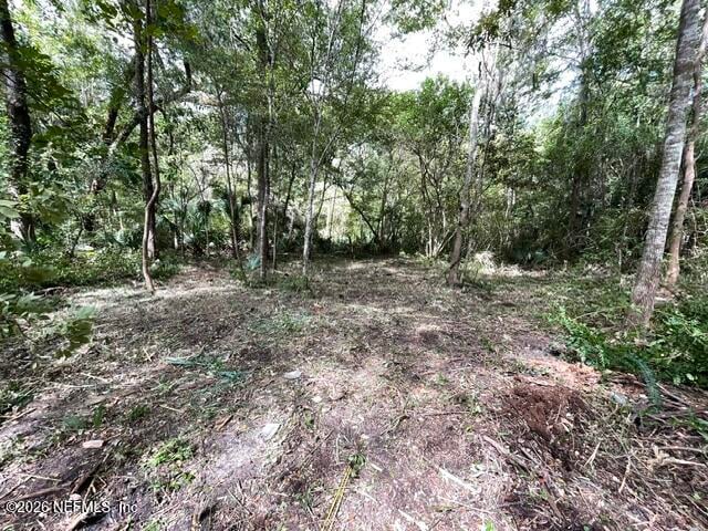 0 Shenandoah Ave, Jacksonville, FL 32254