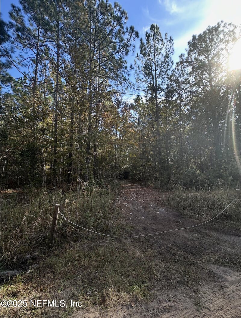 0 Silver Moss Cir, Middleburg, FL 32068