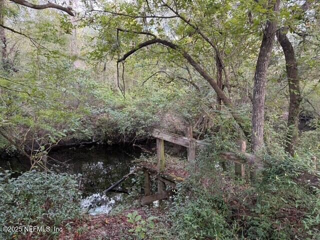 0 Skipper Rd, Middleburg, FL 32068