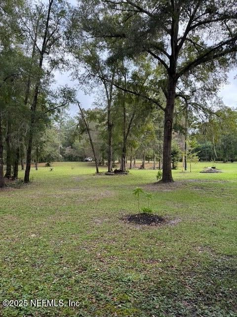 0 Skipper Rd, Middleburg, FL 32068