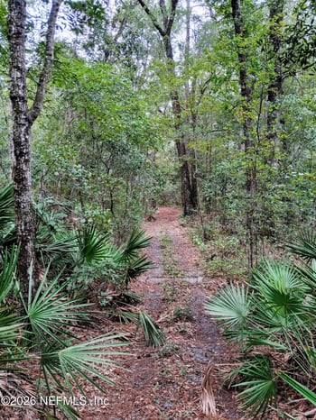0 Skipper Rd, Middleburg, FL 32068