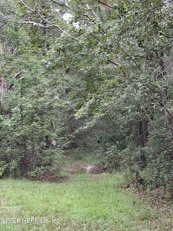 0 Skipper Rd, Middleburg, FL 32068