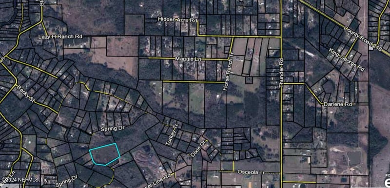 0 Spring Dr, Middleburg, FL 32068