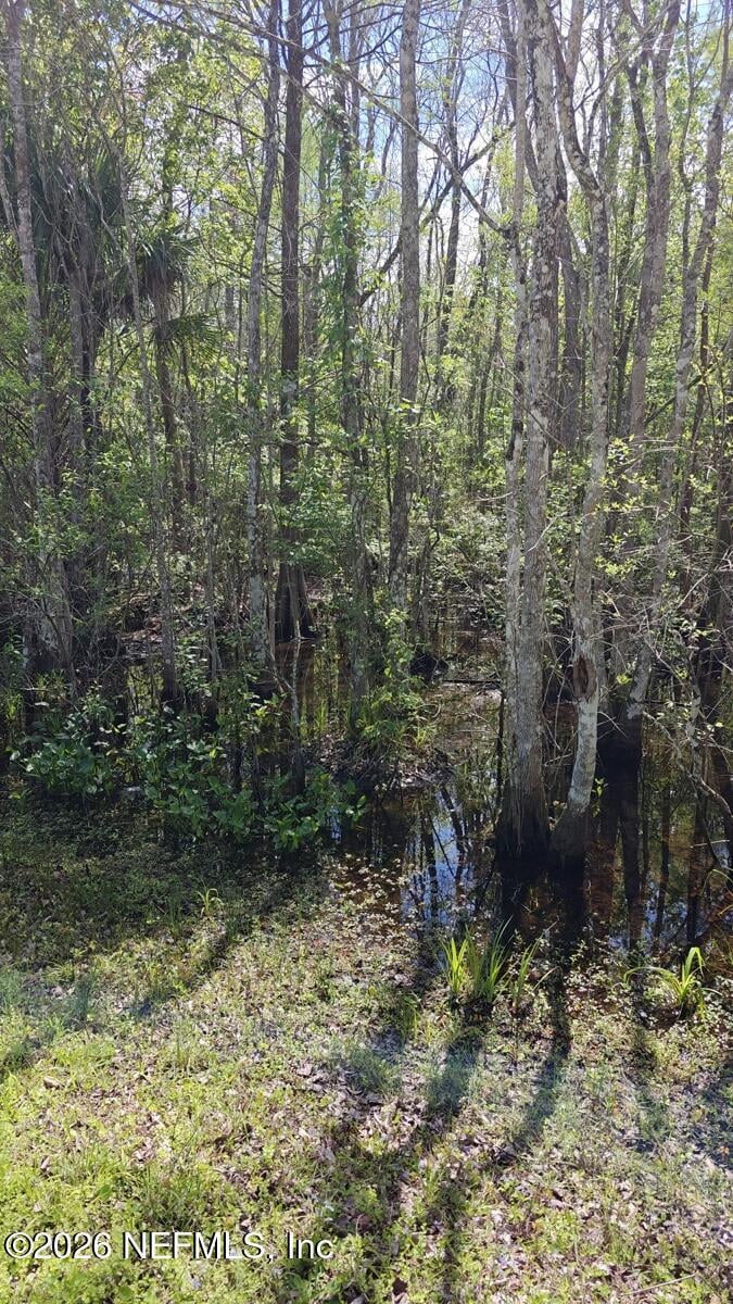 0 Thompson Bailey Rd, St Augustine, FL 32084