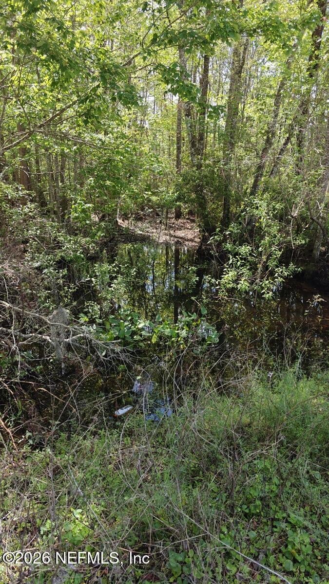 0 Thompson Bailey Rd, St Augustine, FL 32084