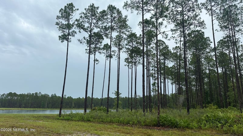 0 Us Highway 301, Bryceville, FL 32209
