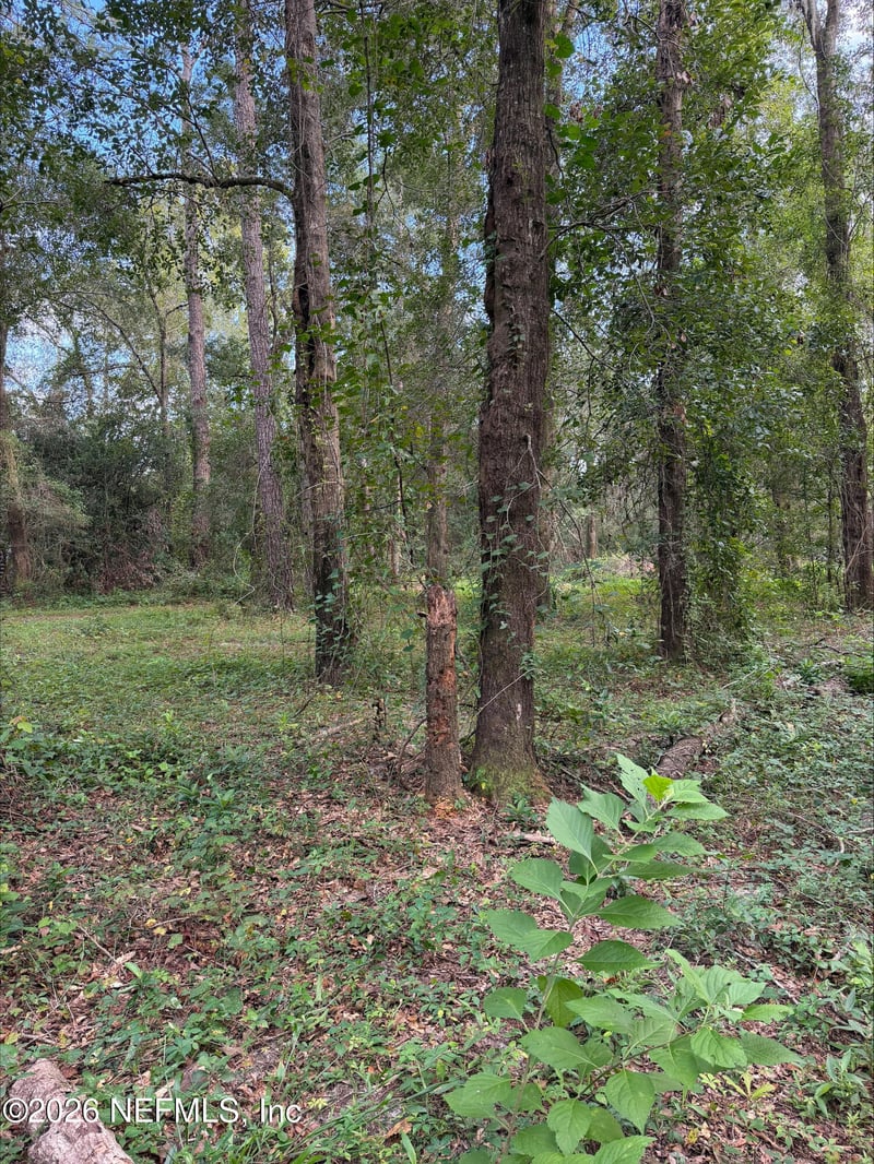 0 White Oak Ln, Middleburg, FL 32068