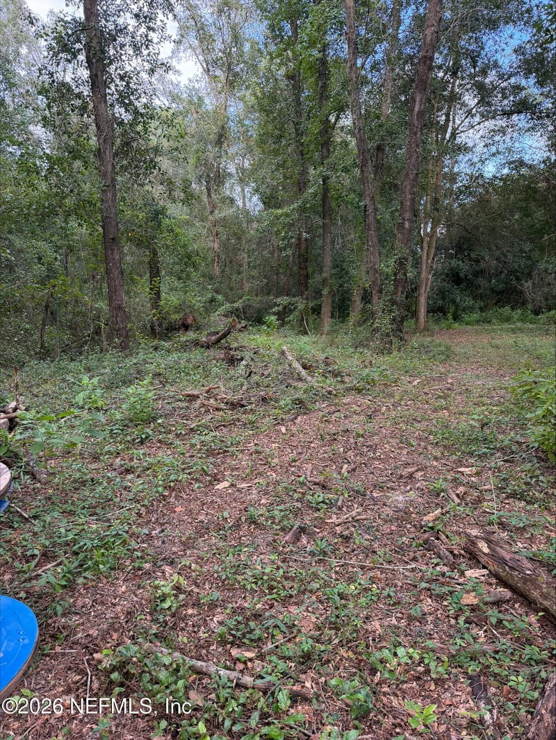 0 White Oak Ln, Middleburg, FL 32068