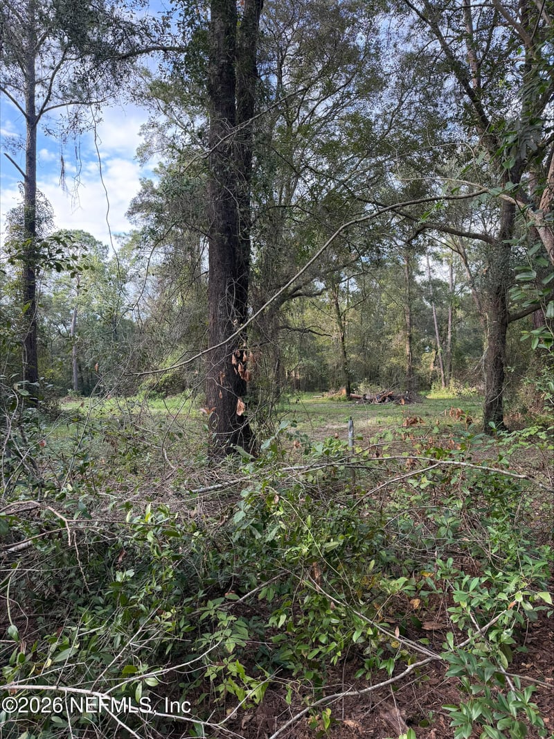 0 White Oak Ln, Middleburg, FL 32068