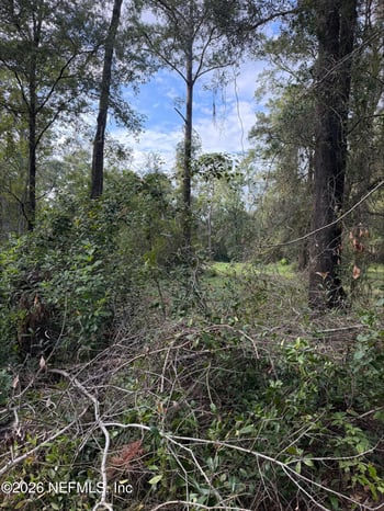 0 White Oak Ln, Middleburg, FL 32068