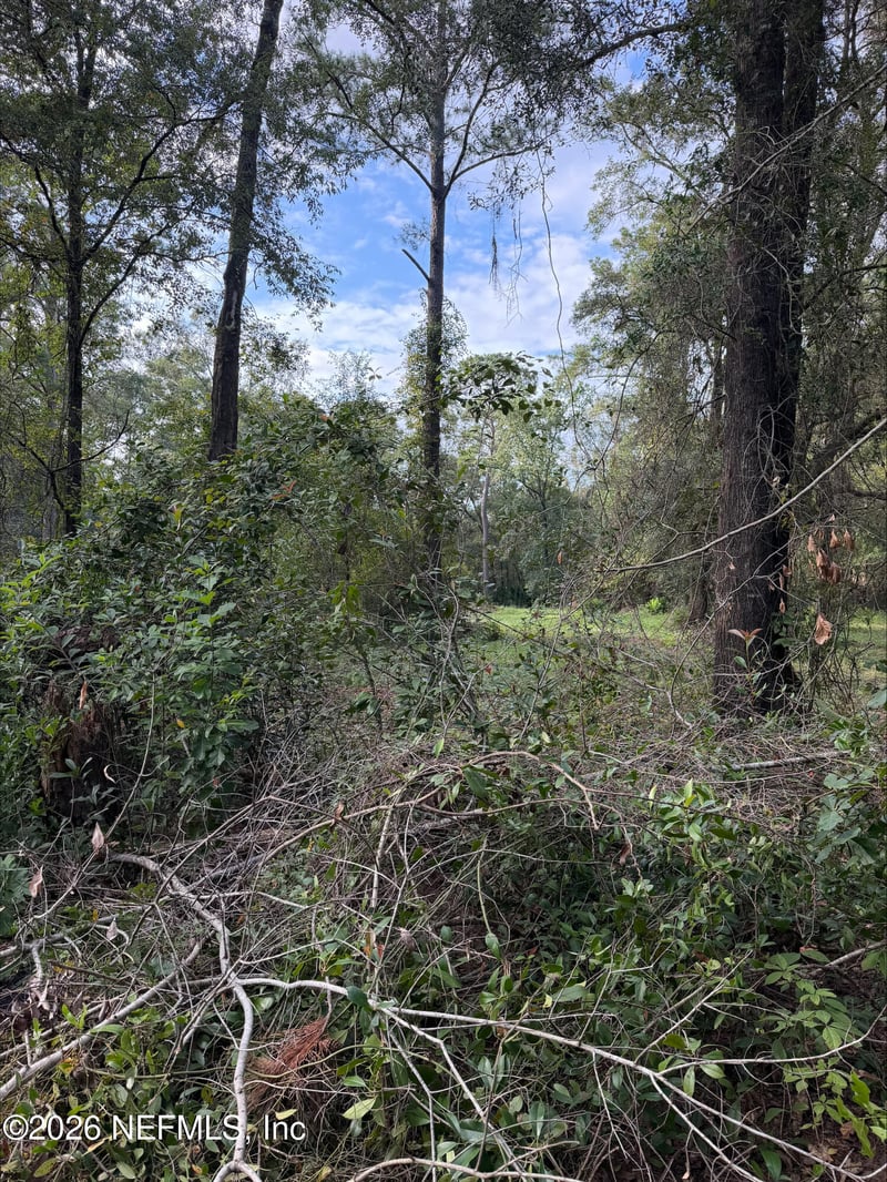 0 White Oak Ln, Middleburg, FL 32068