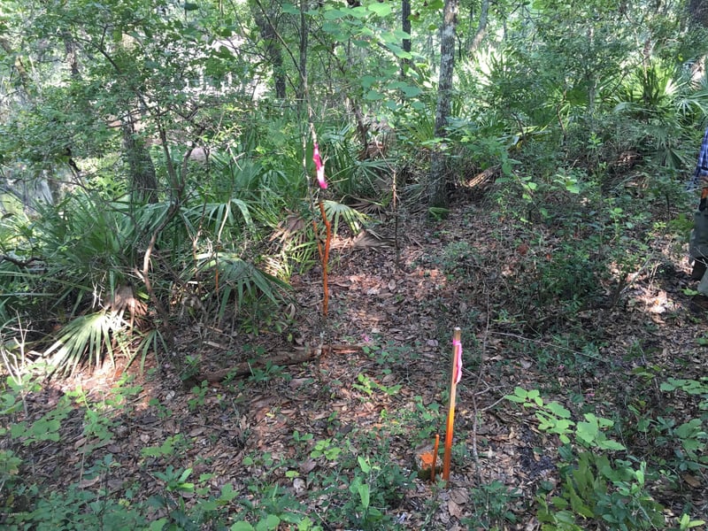 00 Black Creek Tract, Middleburg, FL 32068