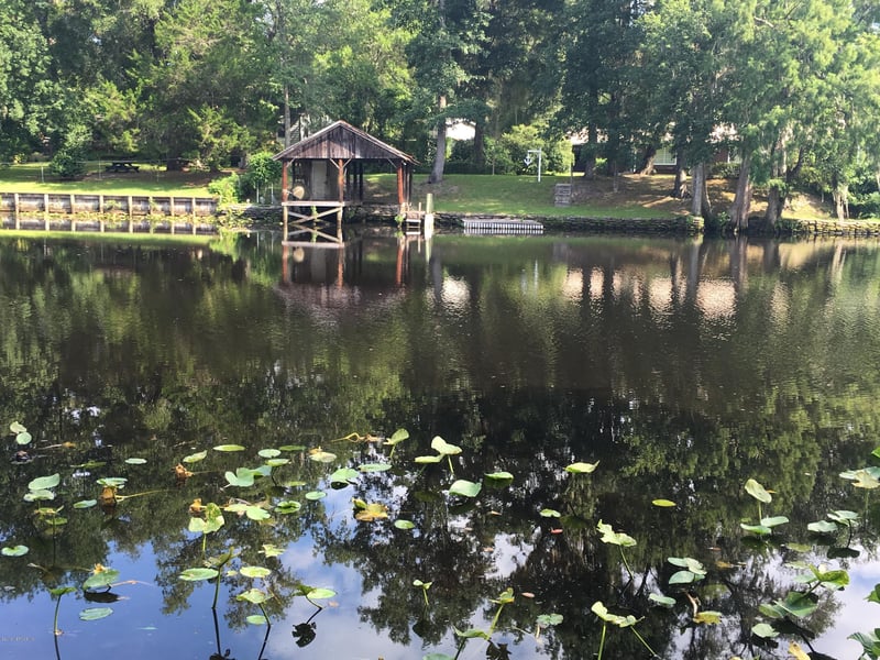 00 Black Creek Tract, Middleburg, FL 32068