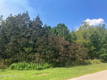 00 County Rd 217, Middleburg, FL 32234