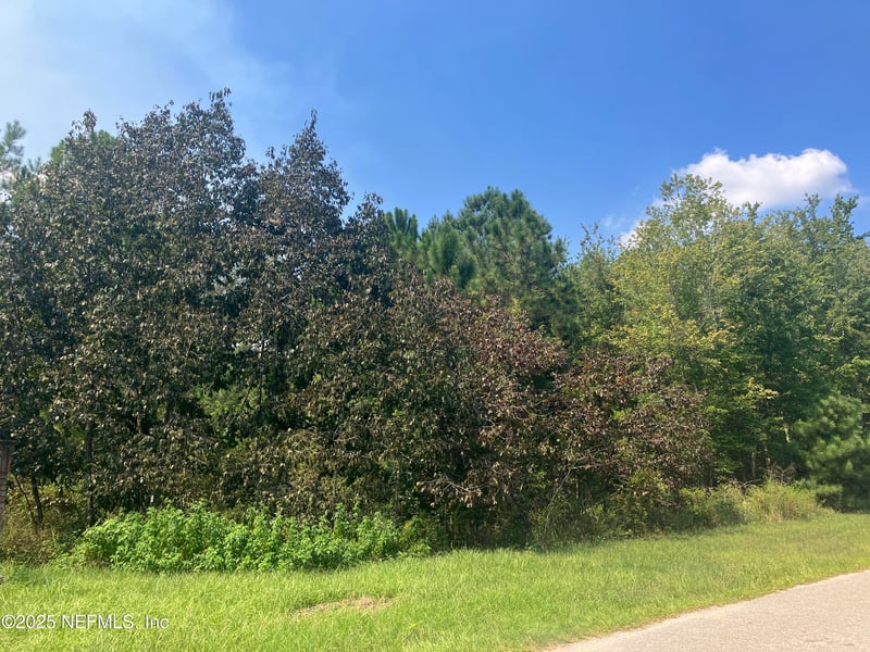00 County Rd 217, Middleburg, FL 32234
