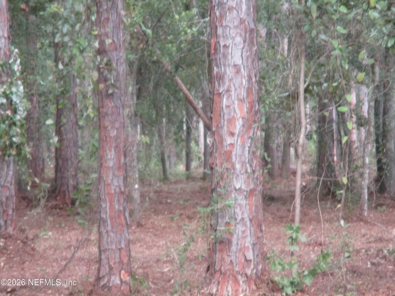 00 W County Rd 108 Rd W, Hilliard, FL 32046